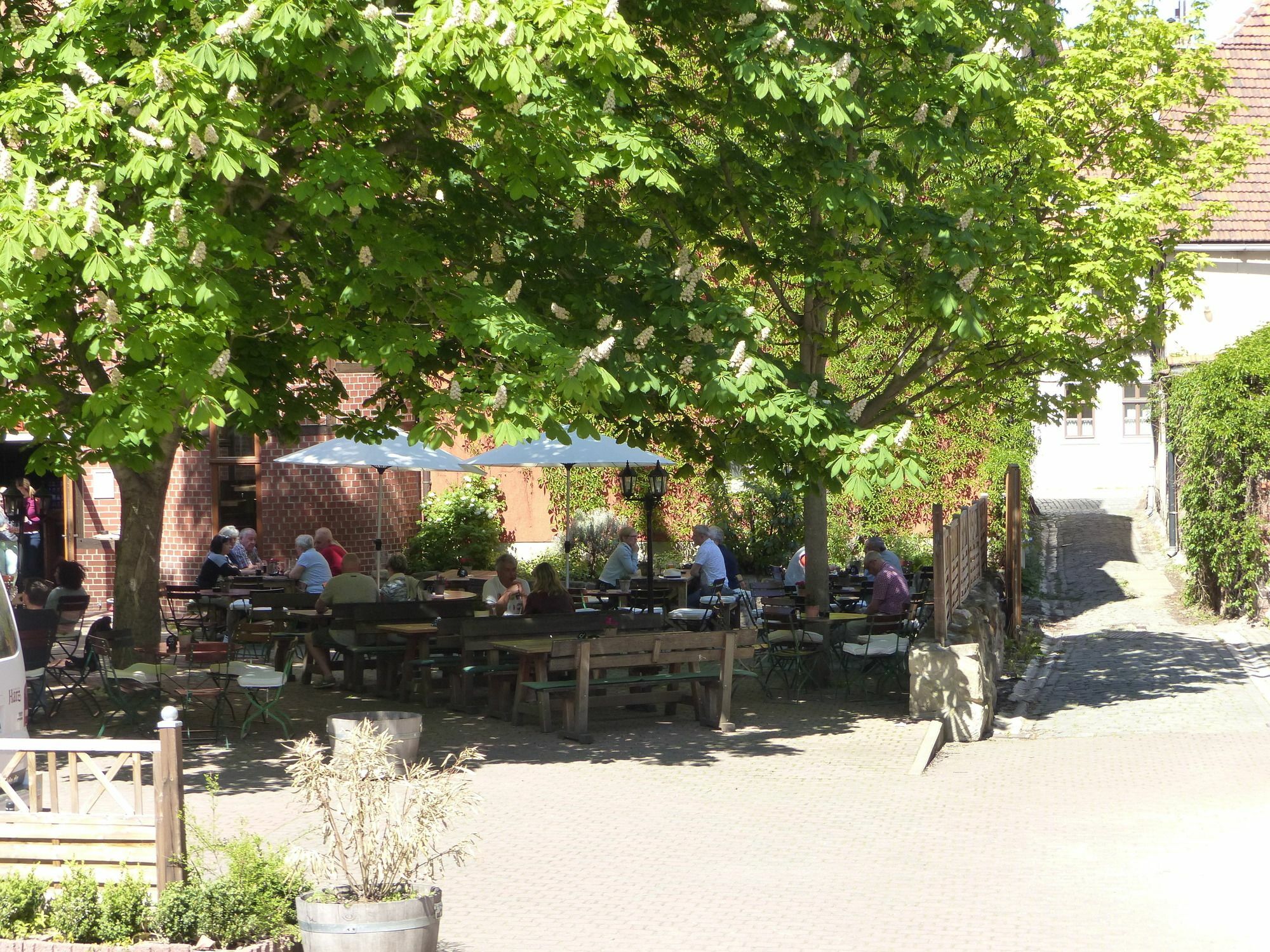 Hotel Zum Brauhaus Quedlinburg Exteriör bild